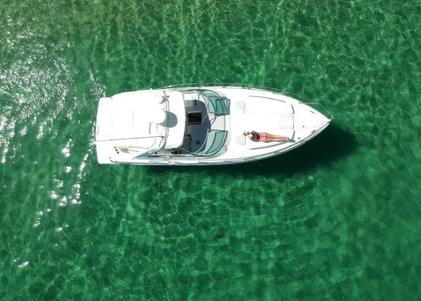 Detalle de 32 Ft Chasing Starfish 3