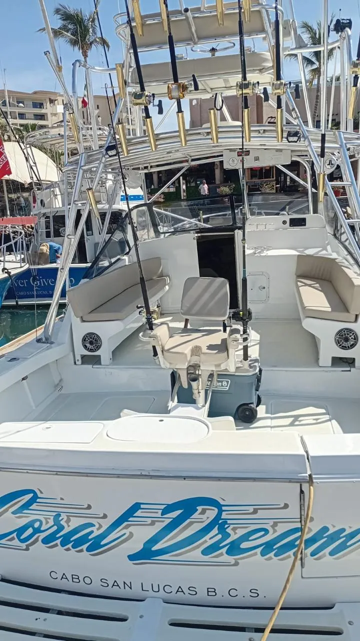 Detalle de 33 Ft Coral Dream 4