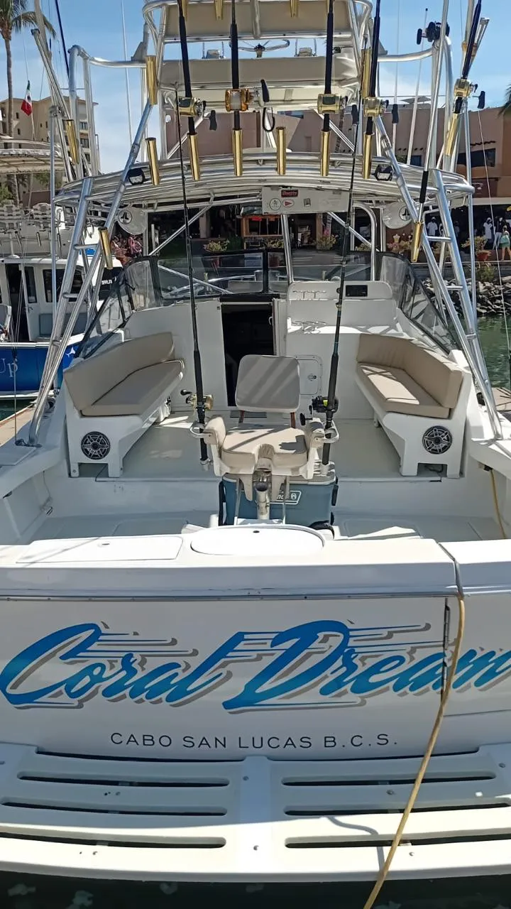 33 Ft Coral Dream